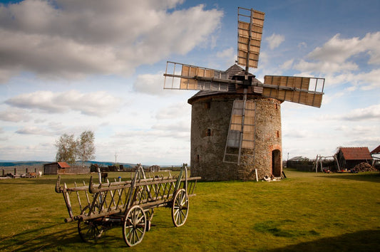 Welcome To Holland By Emily Perl Kingsley